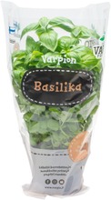 Varpio Basilika (6430050459017)
