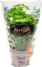 Varpion Persilja (6430050459024)