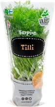Varpion Tilli (6430050459031)