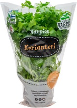 Varpion Korianteri (6430050459079)