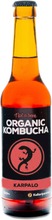 Kombucha Karpalo (6430058710479)