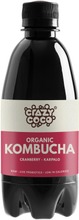 Luomu Kombucha - Karpalo (6430067510145)