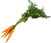 Porkkananippu