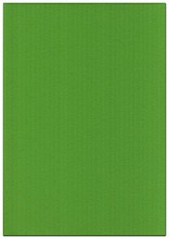Karto Kartonki Kirkkaan Vihreä  50X70cm 220Gsm 5Ark/Pss (6438224390517)