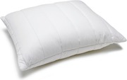 Familon Ultra Organic Tikkityyny 50X60 (6438291098262)