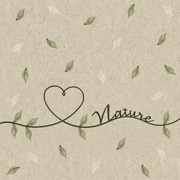Duni Paper+ Design 24Cm 2-Krs Naturals Love Of Nature Lautasliina 25Kpl (7321011952731)