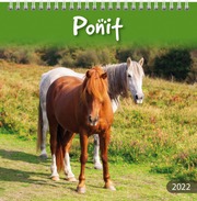 Burde Vuosikalenteri 2022 Ponit, Fsc Mix (7332696177227)