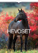 Burde Vuosikalenteri 2022 Hevoset, Fsc Mix (7332696177623)