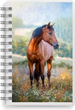 Burde Koulukalenteri 21-22  Compact Pets, Fsc Mix (7332696812029)