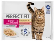Perfect Fit Indoor Mix Kanaa&Härkää Kastikkeessa 4X85g (8410136010248)