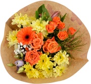 Image of 8700000004504