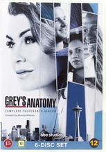 Greyn Anatamia Dvd (8717418532918)