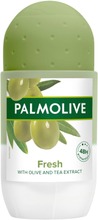 Palmolive Fresh Antiperspirantti Roll-On 50 Ml