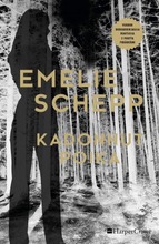 Schepp, Emelie: Kadonnut Poika Pokkari (9789150957426)
