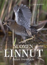 Suomen Linnut - Suuri Lajiopas