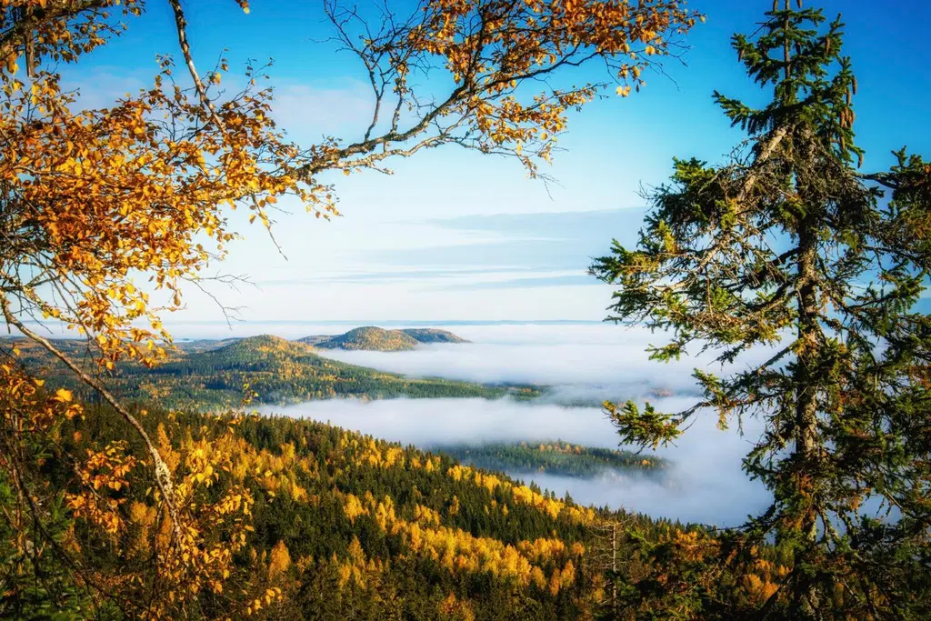 Pohjois-Karjalan Kolin maisema, luontoa ja elämyksiä syksyn sävyissä.