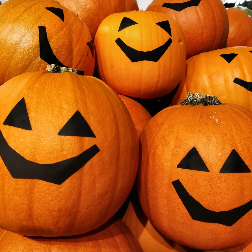 Halloween-kurpitsat, Prisma Joensuu