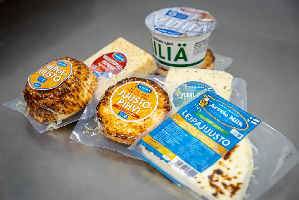 Arctic Milkin leipäjuusto ja juustopihvi läheltä kuvattuna. 