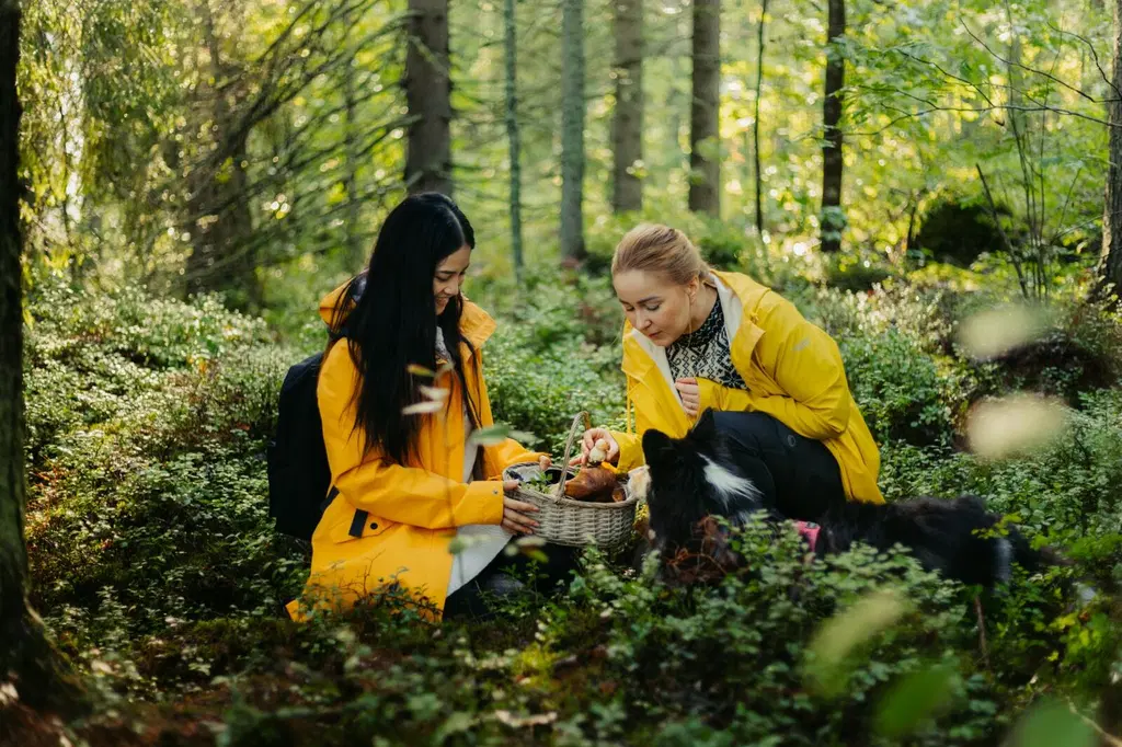 Pohjois-Karjalan monimuotoinen luonto tarjoaa parhaat puitteet luontolomailuun.