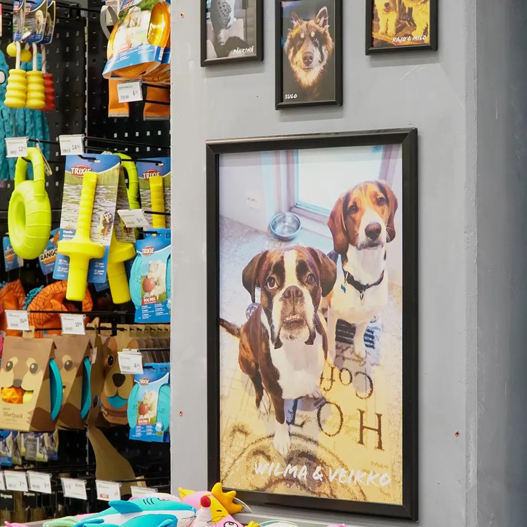 Prisma Joensuun lemmikkiosaston seinällä valokuva kahdesta koirasta
