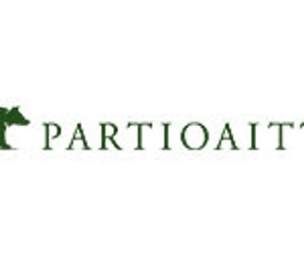 Partioaitta