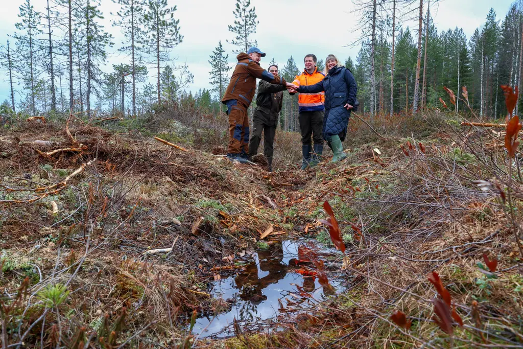 Kuvassa metsänomistaja Petri Purmonen (vas.), PKO:n viestintä- ja vastuullisuusjohtaja Petri Vähä, Metsänhoitoyhdistyksen asiantuntija Panu Kukkonen ja MTK ympäristöasiantuntija Heli Siitari.