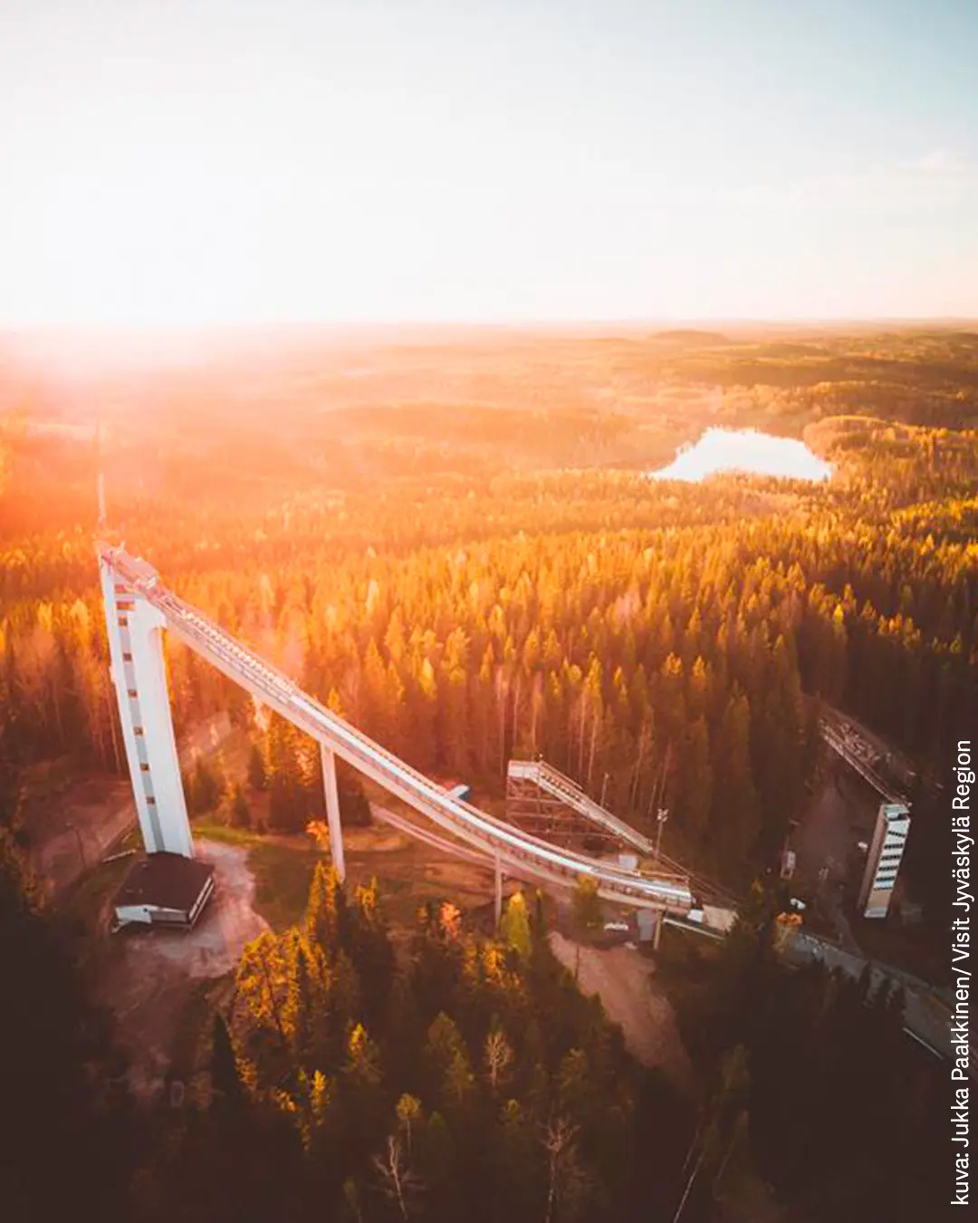Matti Nykäsen hyppyrimäki ja ympäröivää metsää ilta-auringossa.