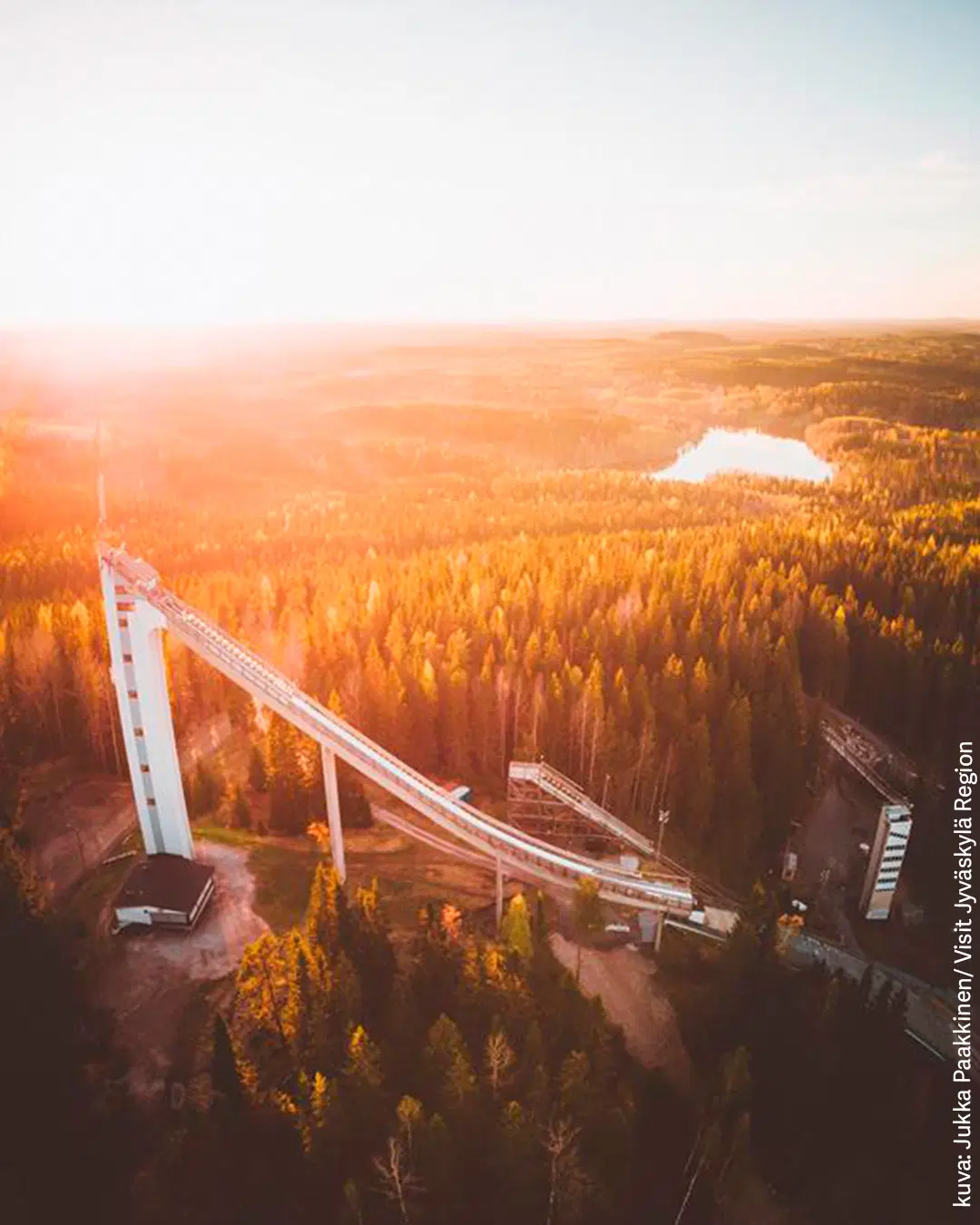 Matti Nykäsen hyppyrimäki ja ympäröivää metsää ilta-auringossa.