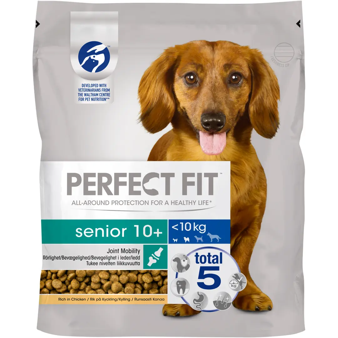 Perfect Fit Senior 10+ Kanaa 825g