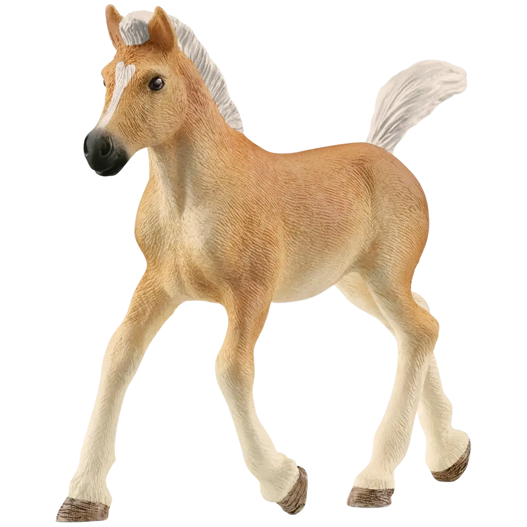 Schleich Haflinger varsa