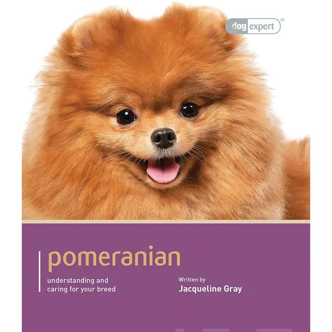 Gray, Pomeranian - Understanding and caring for your breed