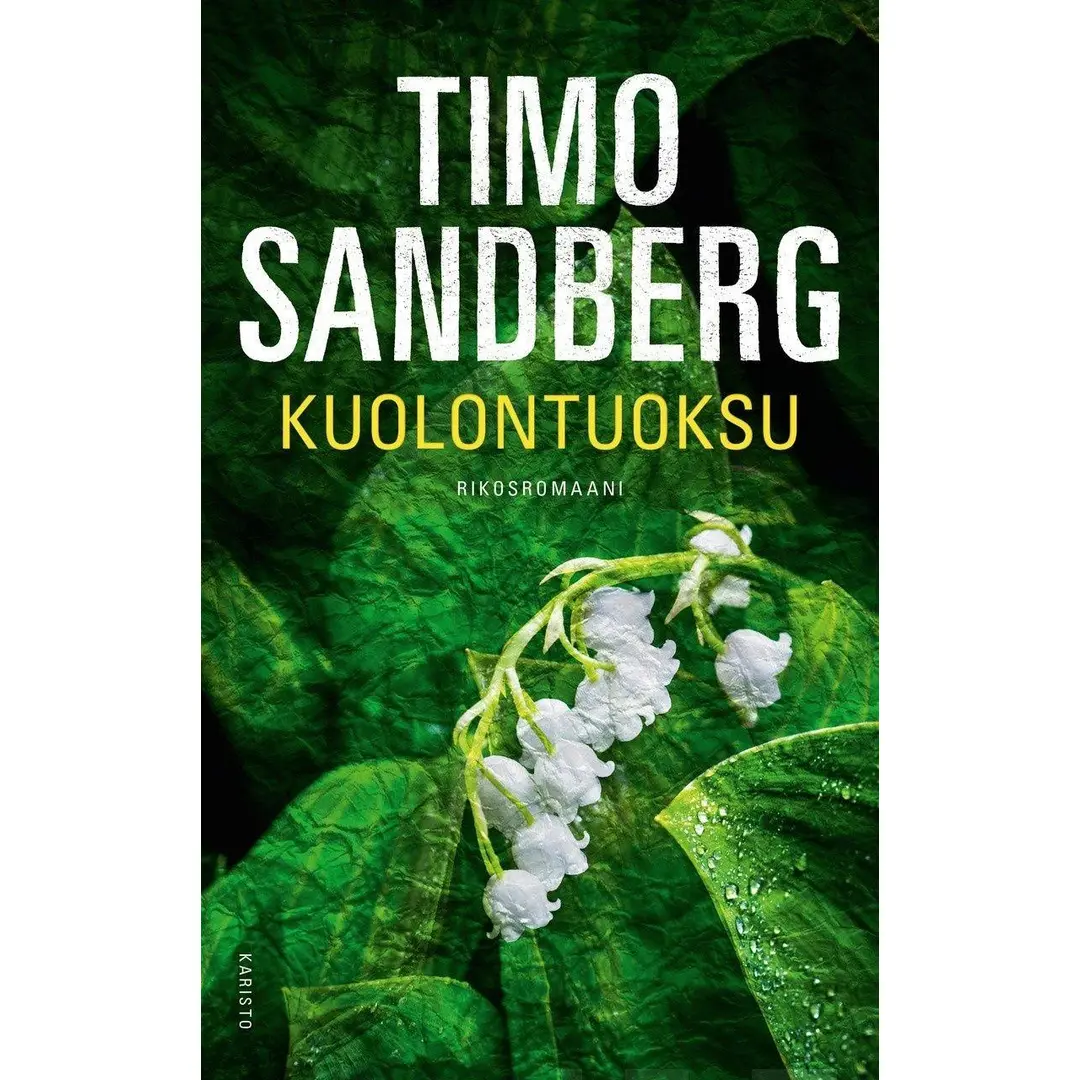 Sandberg, Kuolontuoksu - Rikosromaani