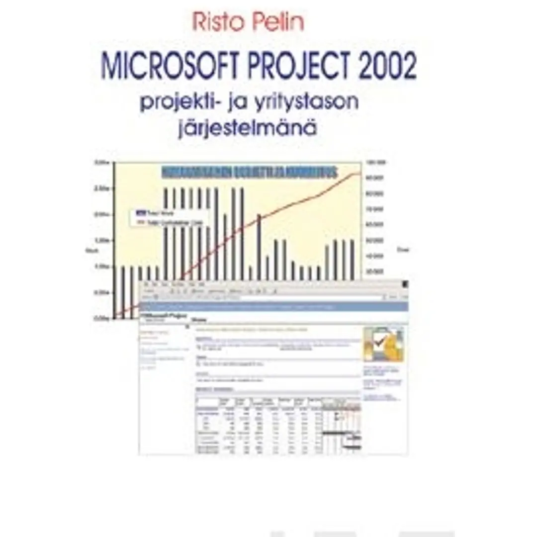 Pelin, Microsoft project 2002 projekti- ja yritystason järjestelmänä