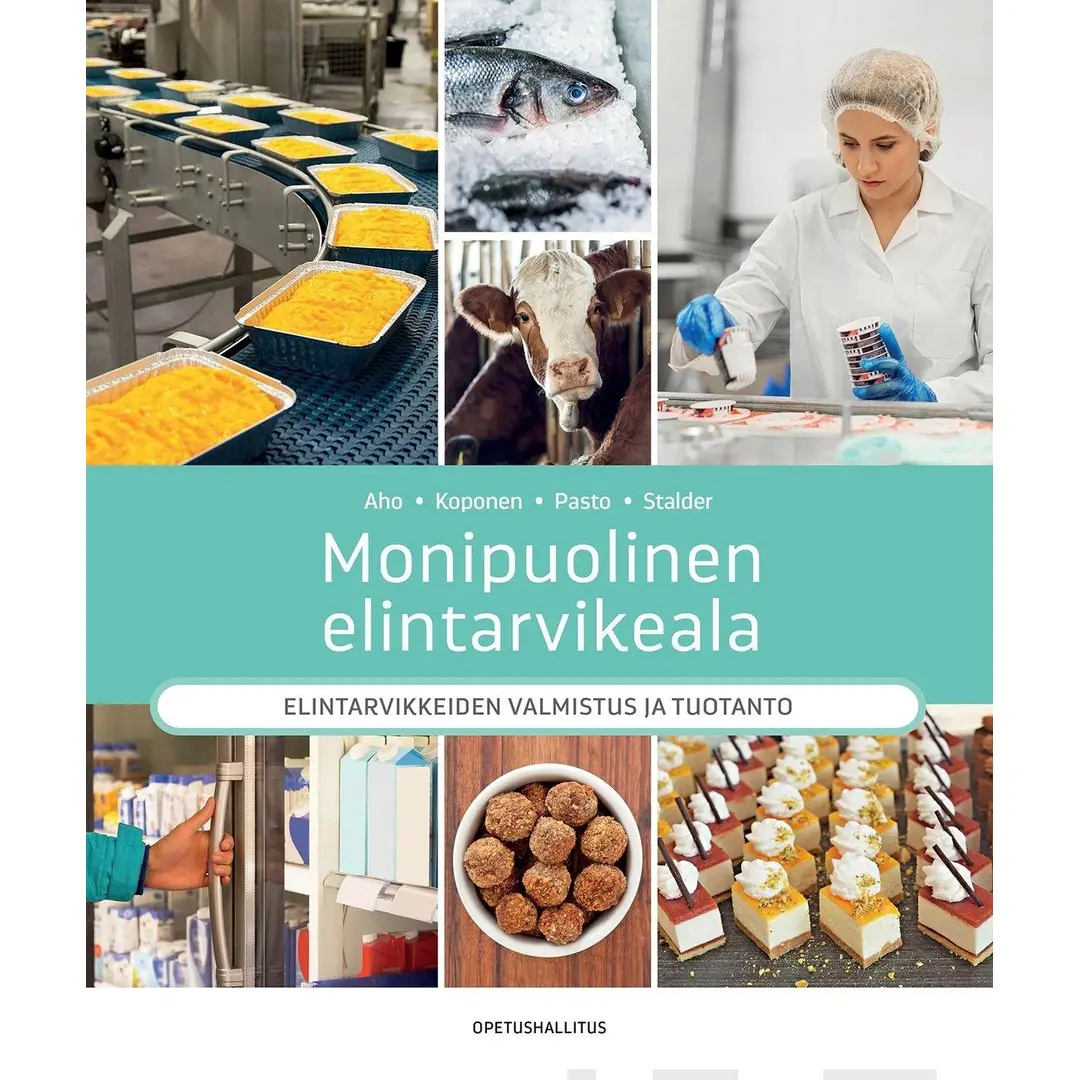 Aho, Monipuolinen elintarvikeala - Elintarvikkeiden valmistus ja tuotanto