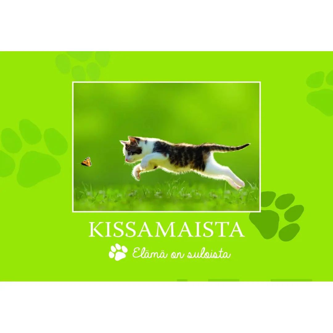 Kissamaista - Elämä on suloista