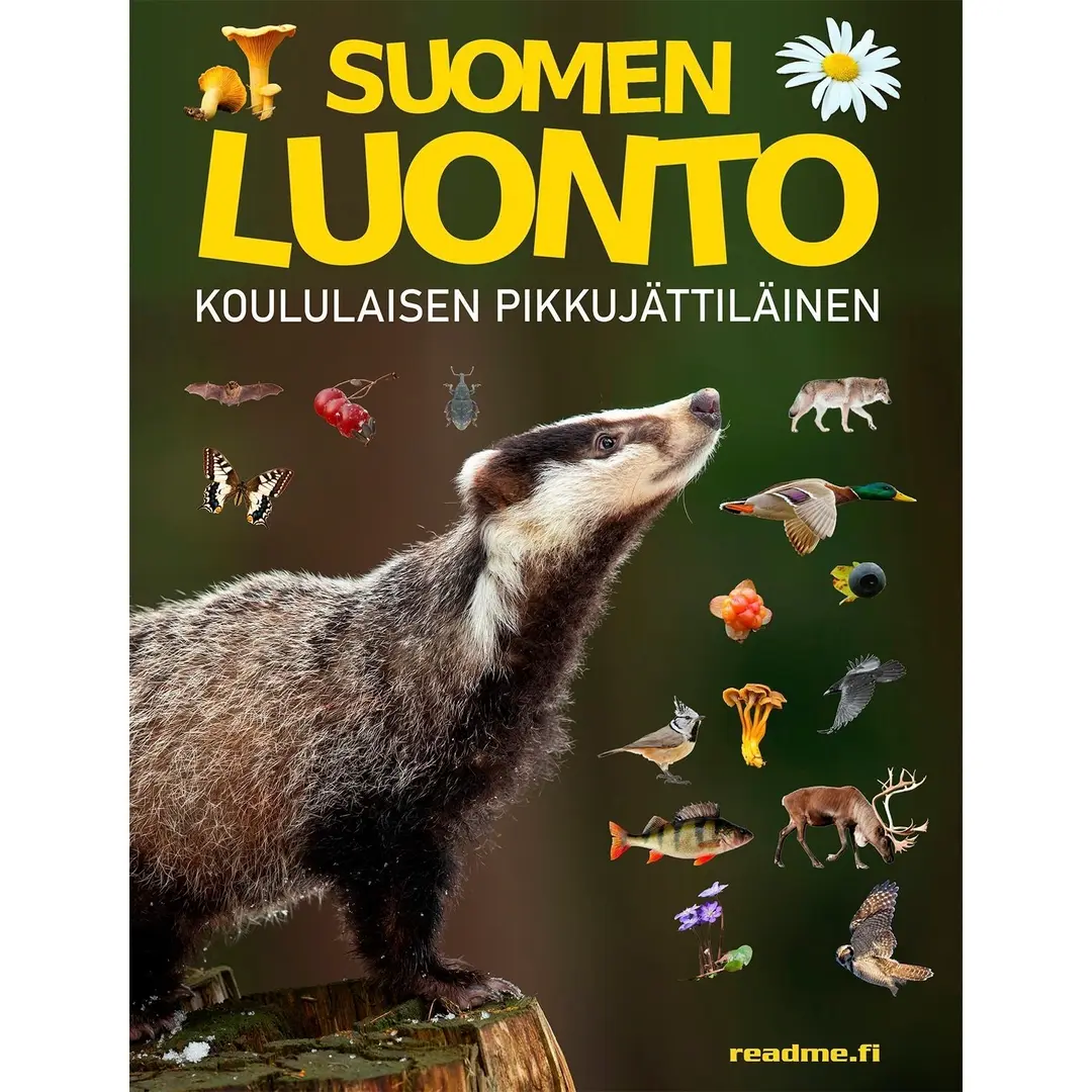 Ovaskainen, Suomen luonto - Koululaisen pikkujättiläinen