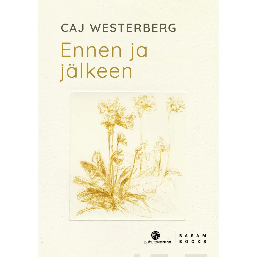 Westerberg, Ennen ja jälkeen