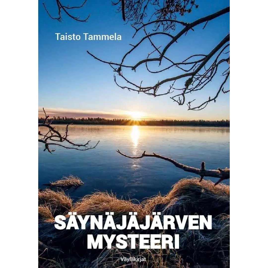 Tammela, Säynäjäjärven mysteeri