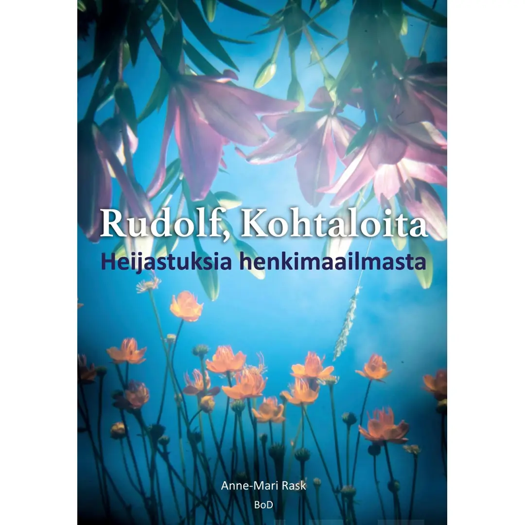 Rask, Rudolf, Kohtaloita - Heijastuksia henkimaailmasta