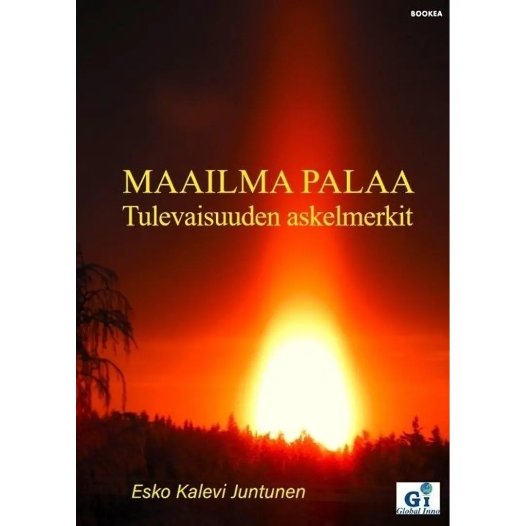 Juntunen, Maailma palaa - Tulevaisuuden askelmerkit