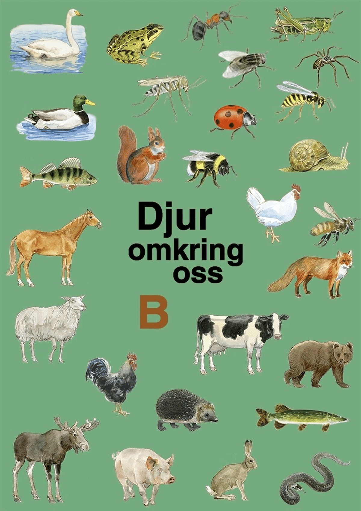 Melander, Djur omkring oss B | Prisma.fi-verkkokauppa