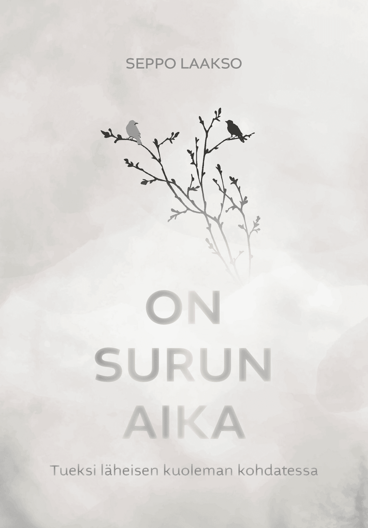 laakso-on-surun-aika-tueksi-l-heisen-kuoleman-kohdatesssa-prisma