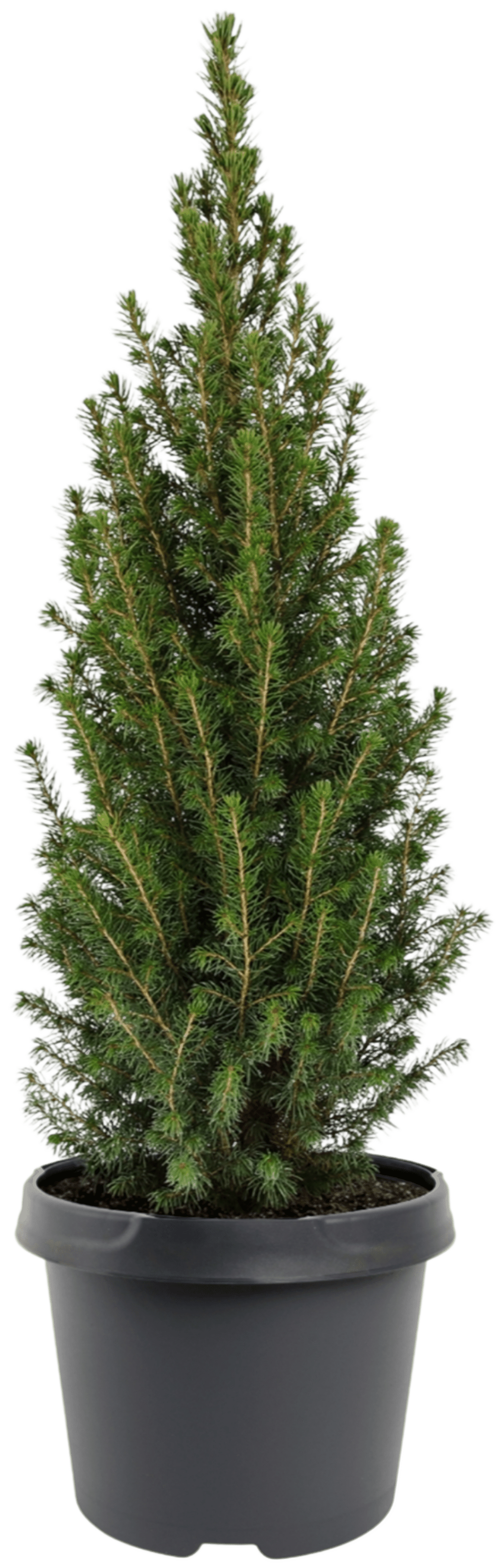 40 50 Cm Posters 40 50 Cm Posters