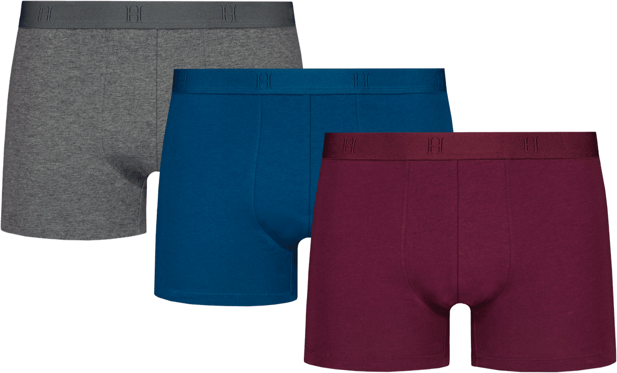 House Miesten Bokserit 190H082473 3 pack Prisma Verkkokauppa house-miesten-bokserit-190h082473-3-pack-prisma-verkkokauppa