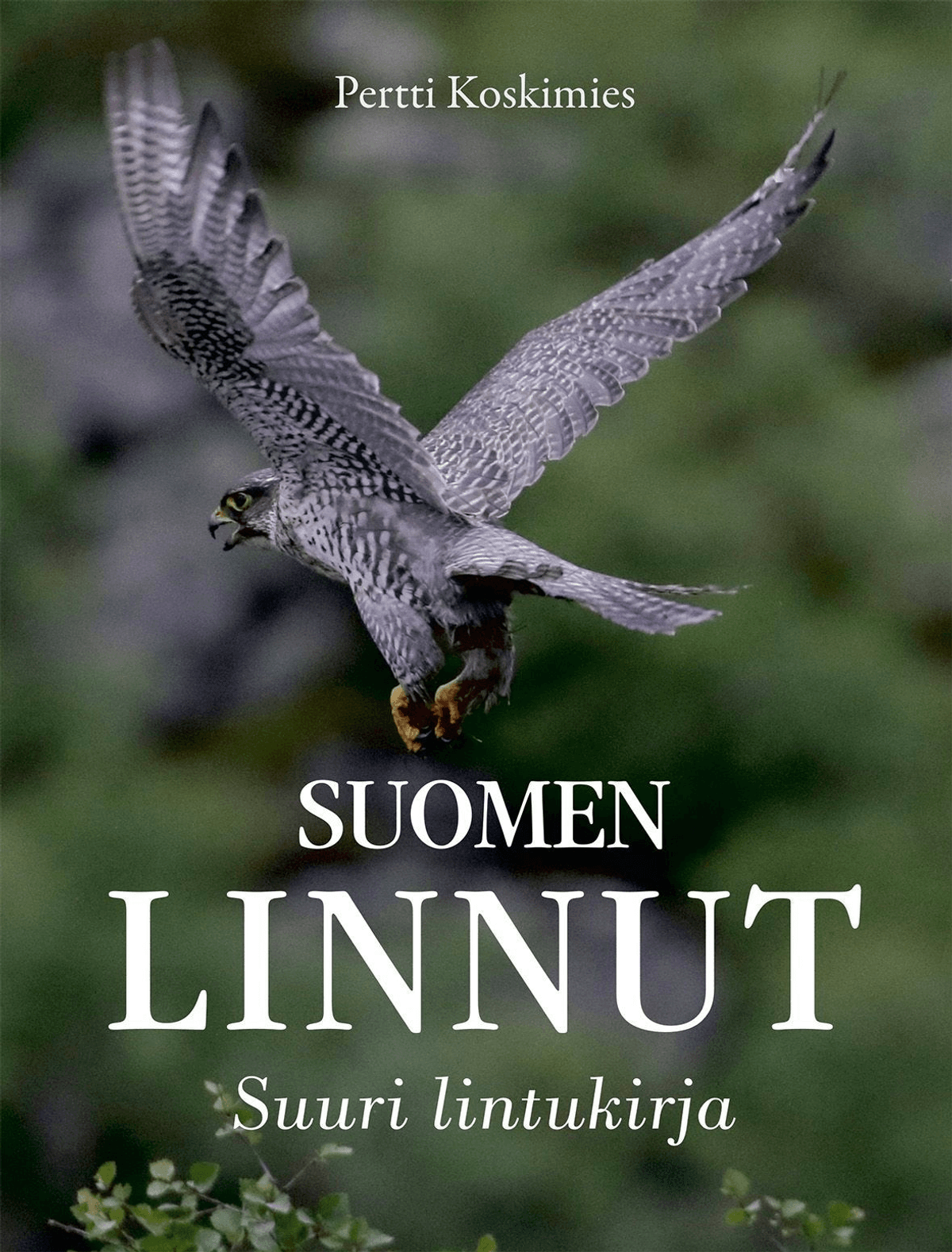 Koskimies Suomen Linnut Suuri Lintukirja Prisma Verkkokauppa