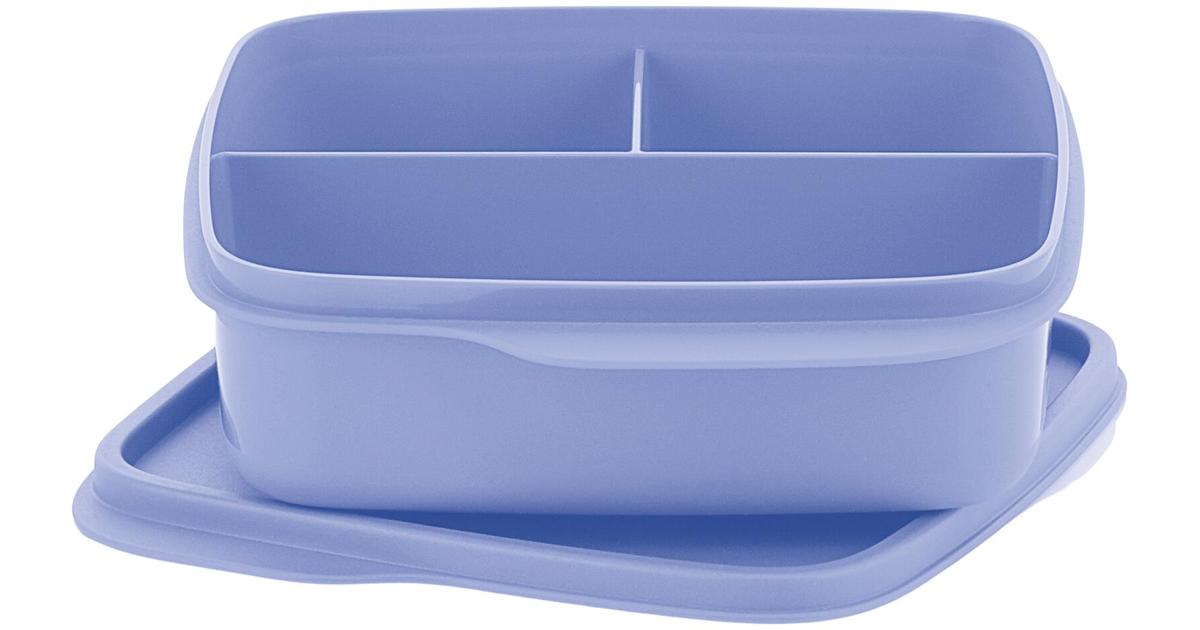 Tupperware To Go Lunch Box Clevere Pause 20oz With Eco