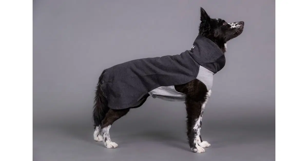 Paikka recovery herstel shirt met thermo voor hond in katoenblend - Dierenbenodigdheden kopen? | Korting tot 28