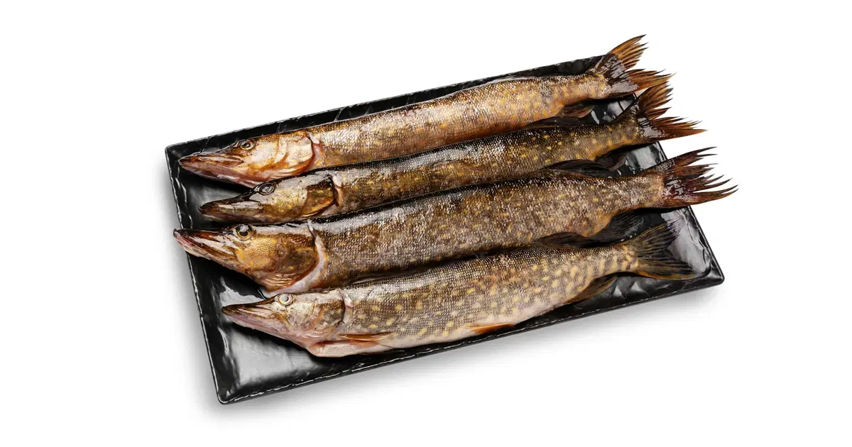 h-t-l-hauki-perattu-n10kg-s-kaupat-ruoan-verkkokauppa