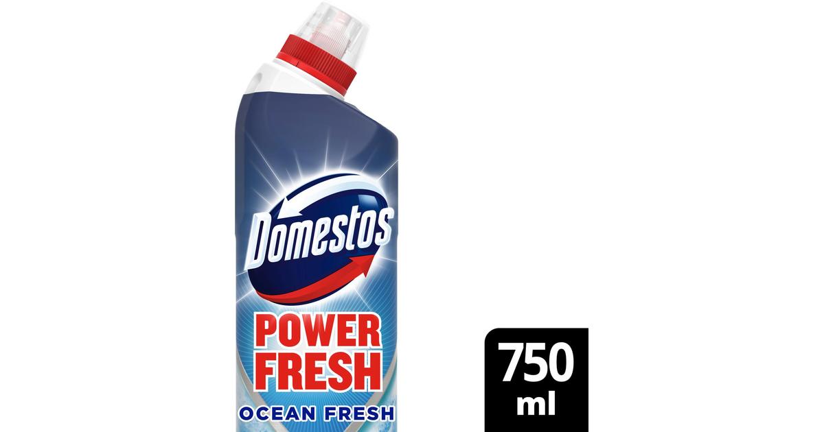 Domestos Power Fresh Ocean WC Puhdistusaine 750 Ml S Kaupat Ruoan Verkkokauppa