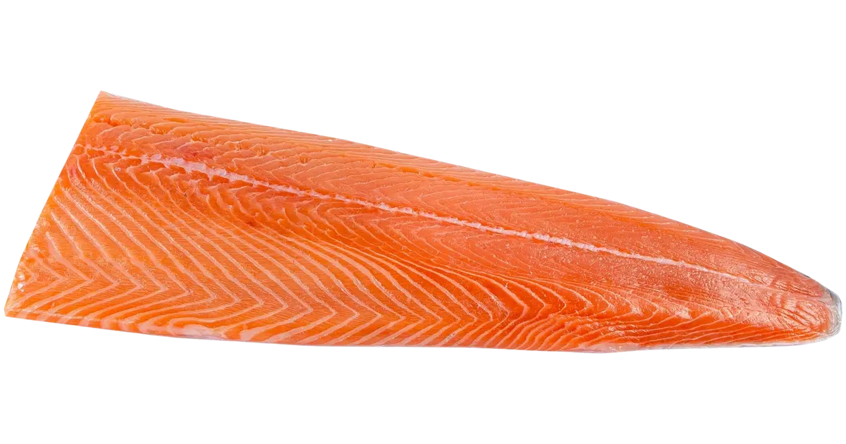partion-kala-lohifile-c-x-sal-salmo-salar-kotimainen-pyydetty